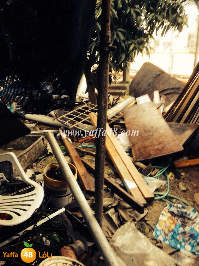 mostafa kraem (3).JPG